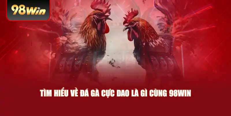 Tìm hiểu về đá gà cực dao là gì cùng 98win
